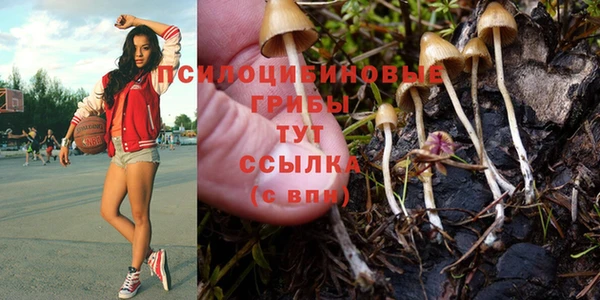 шишки Алексеевка