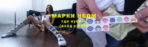 гашик Алексин