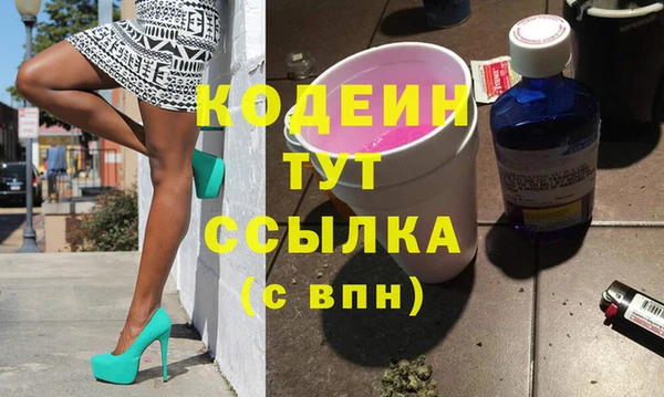 гашик Алексин