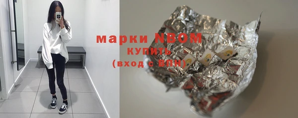 гашик Алексин