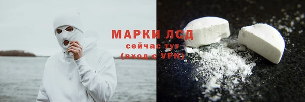 гашик Алексин