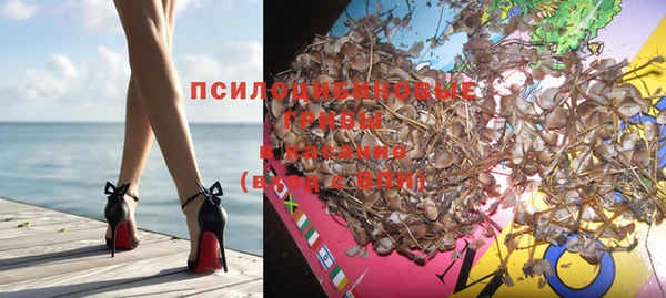 шишки Алексеевка