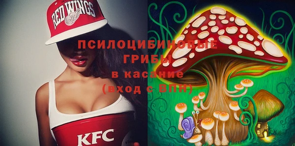 гашик Алексин