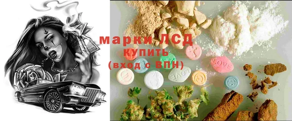 гашик Алексин