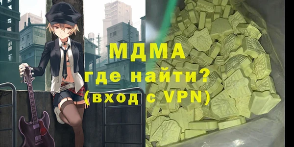 гашик Алексин