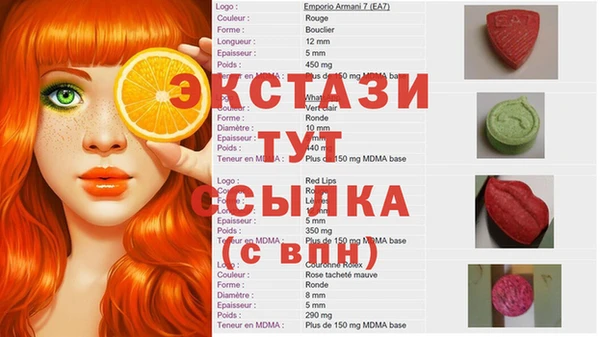 гашик Алексин